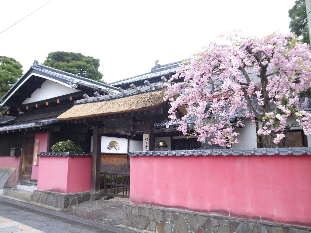 桜が咲いていて絵になります