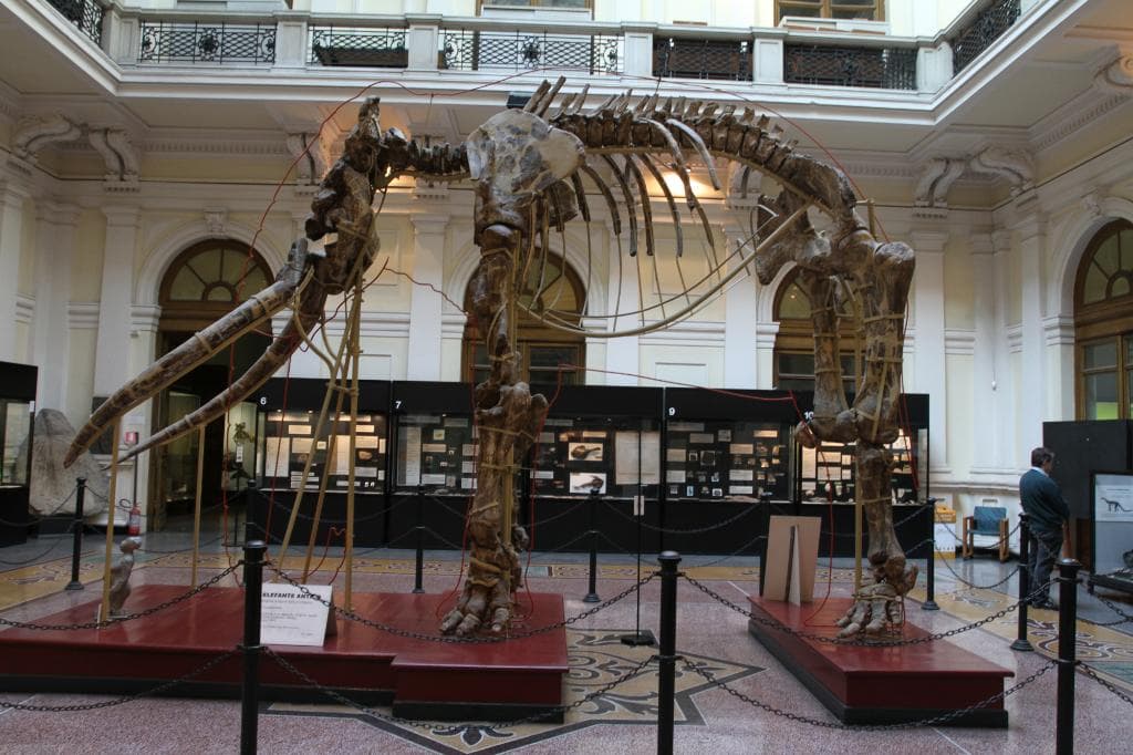ancient elephant