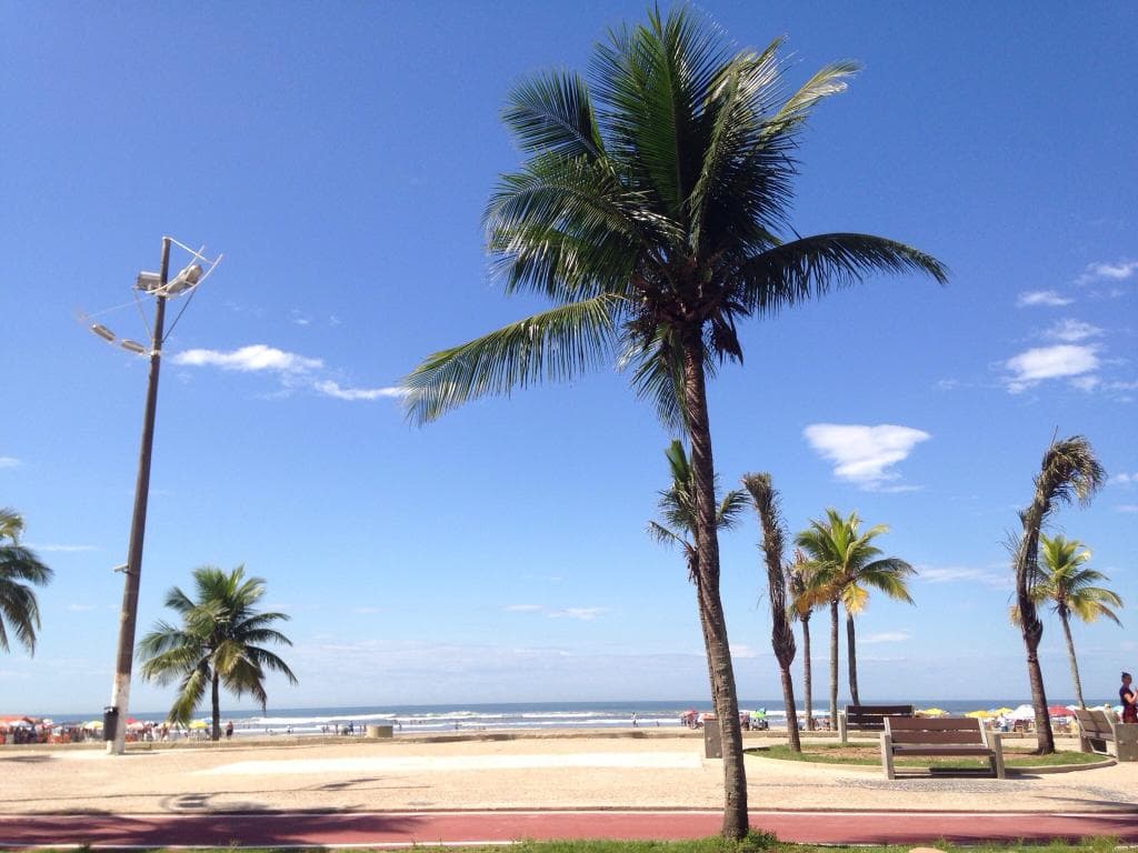 Ocian Beach Praia Grande Brazil