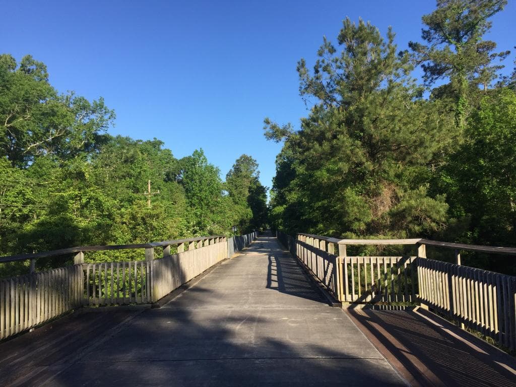 These photos are from the trail, in the morning. On a Saturday.