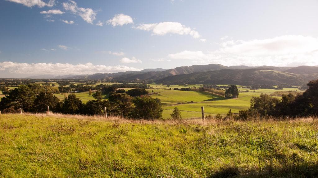Valley view from top