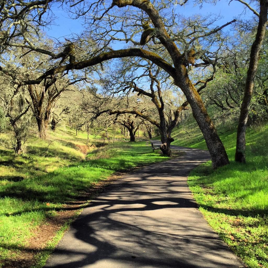 The Valley of the Moon trail.