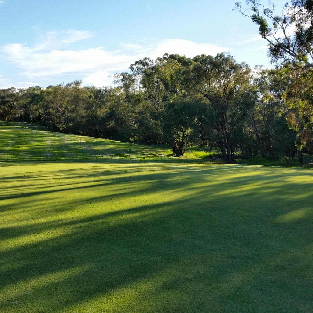 Gold Course