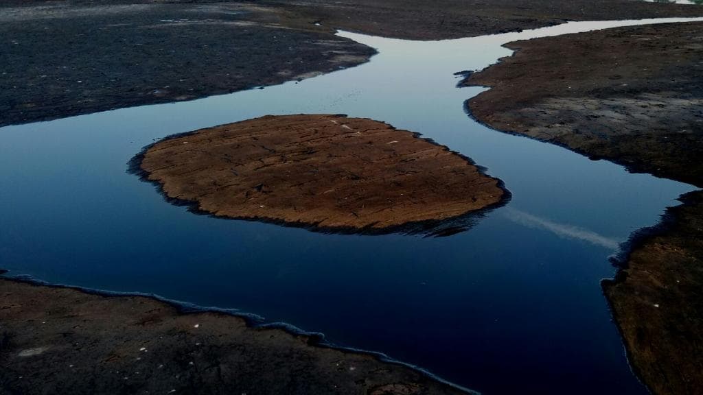 its a delight to the eyes