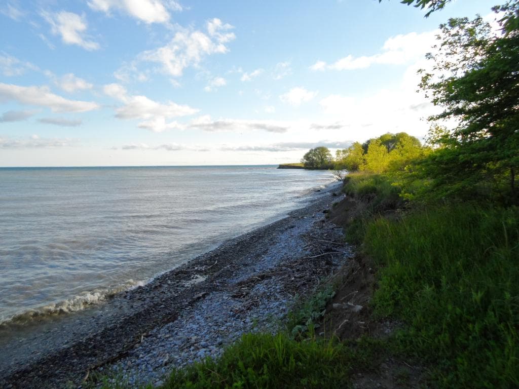 Joseph Kolodzie Oshawa Creek Trail