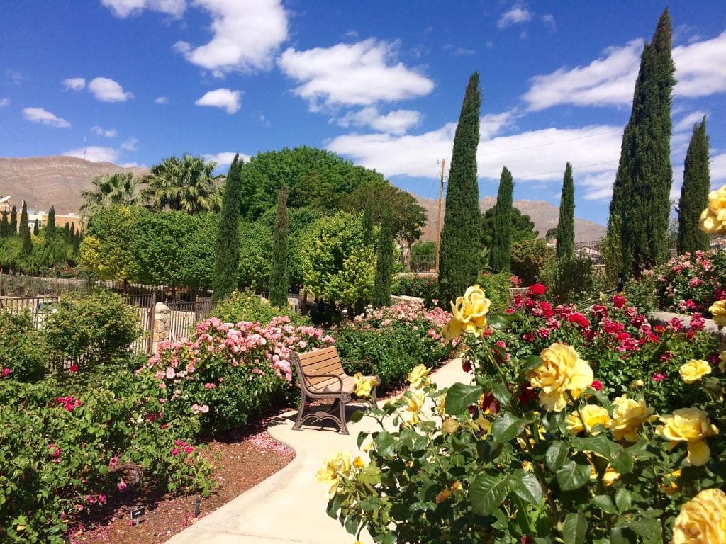 El Paso Municipal Rose Garden