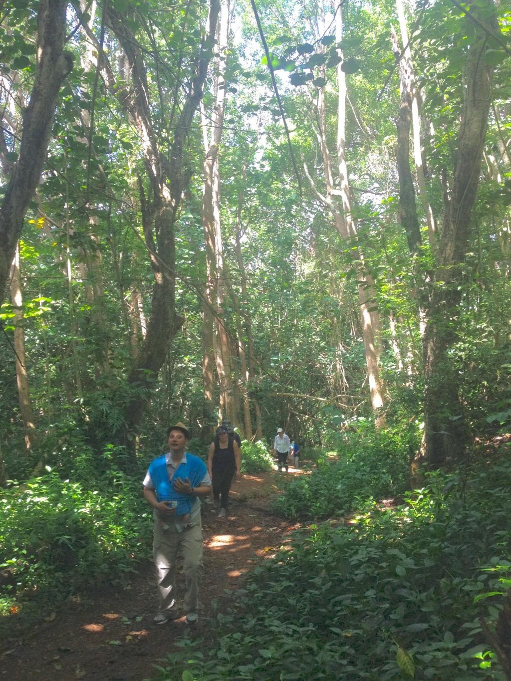 Wai Koa Loop Trail Kilauea Kauai