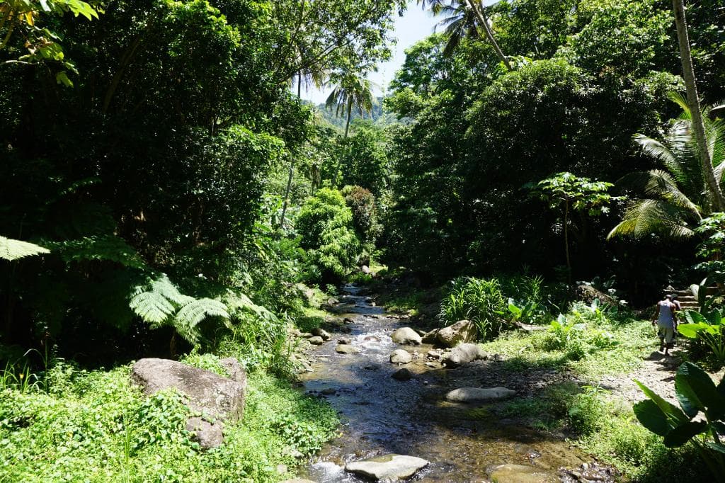 Scenic path to get to the baths