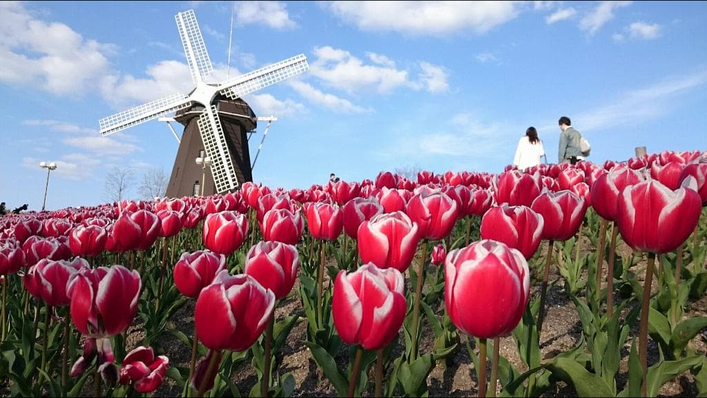 2016.4月の園内風景。