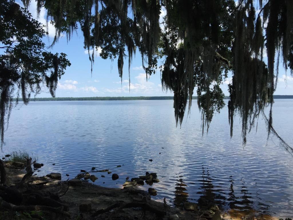 Palm Point Park
