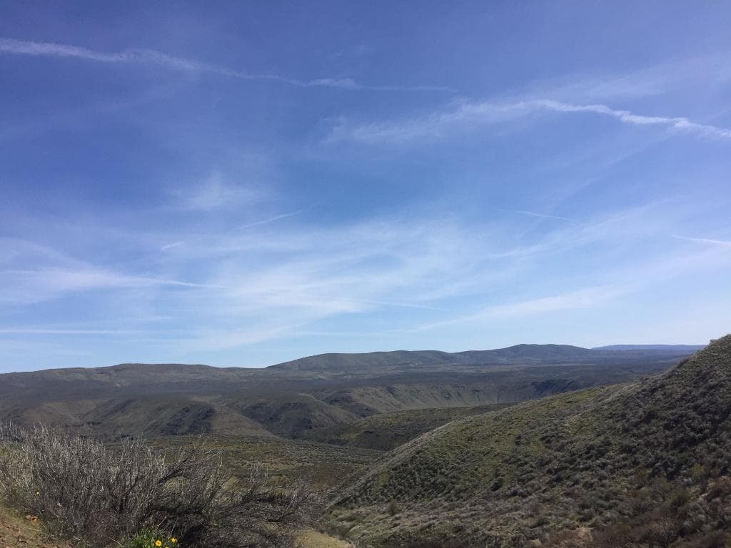 mountains in the horizon