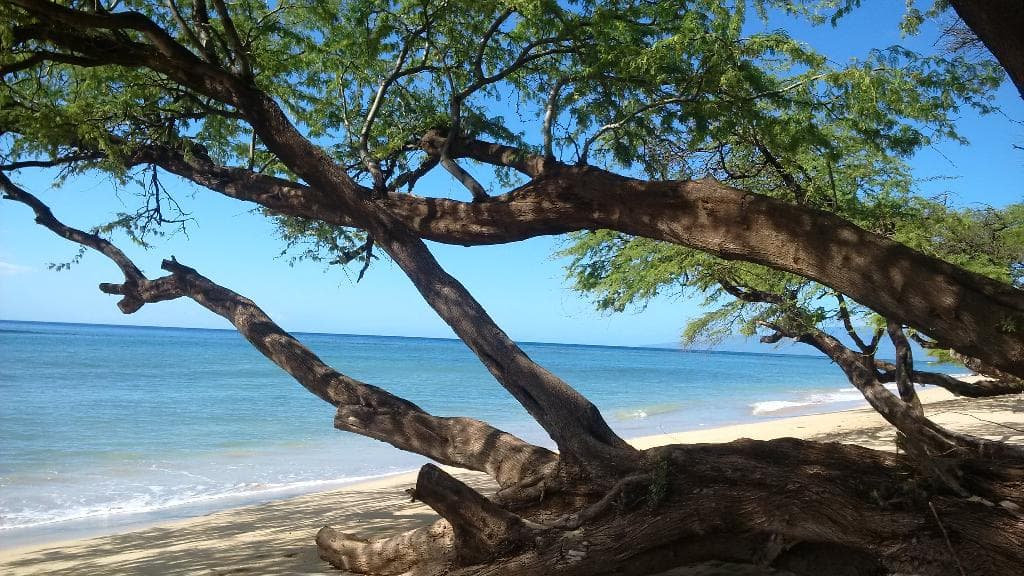 Ukumehame Beach Park Thousand Peaks