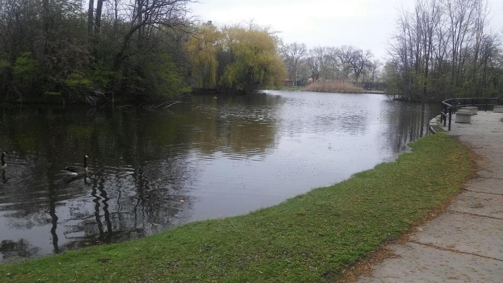 Palmer Park
