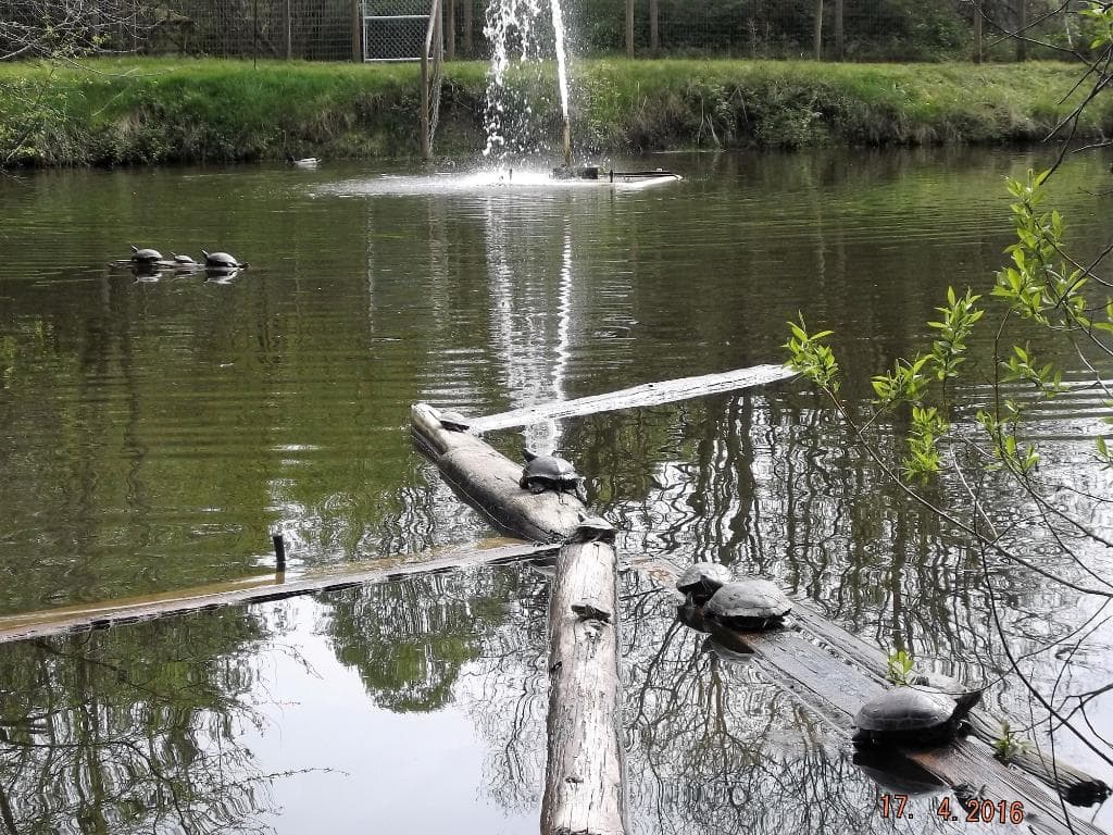 North Island Wildlife Recovery Centre