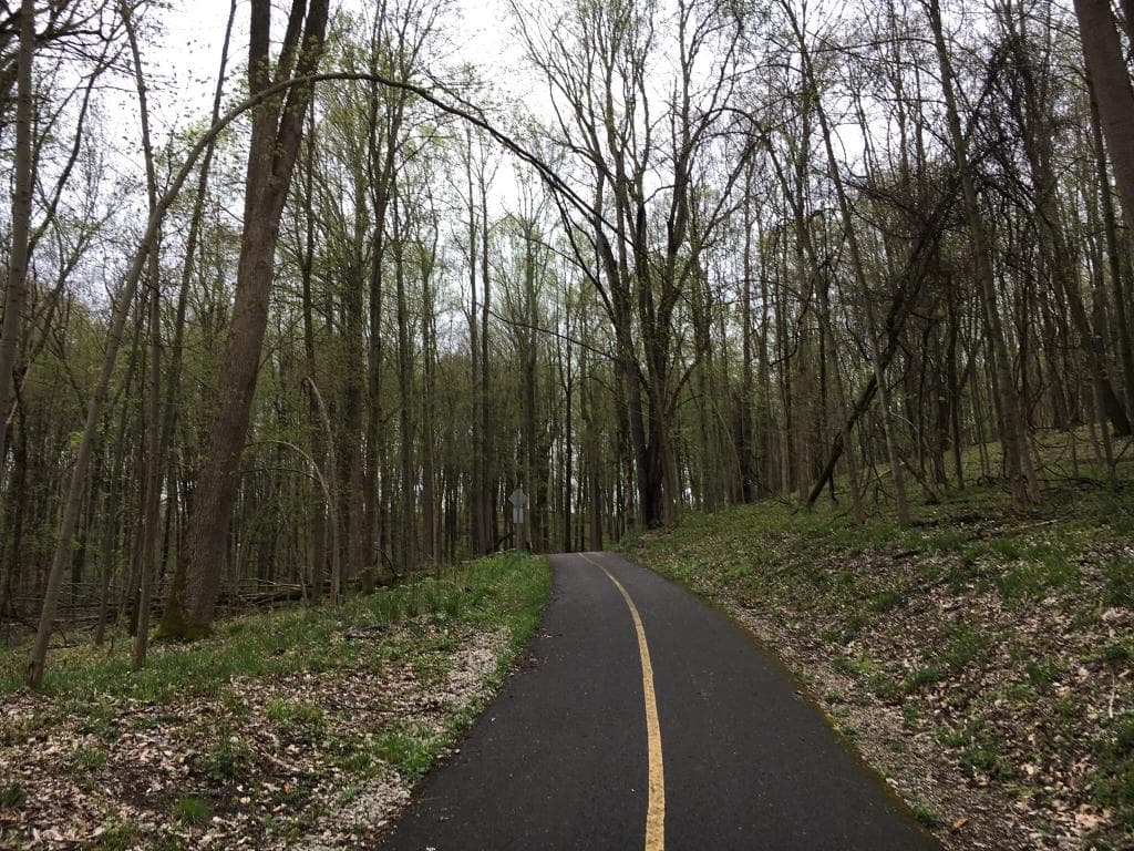 Well, i was not sure where to park without paying entry fees at the nature center or Markin park