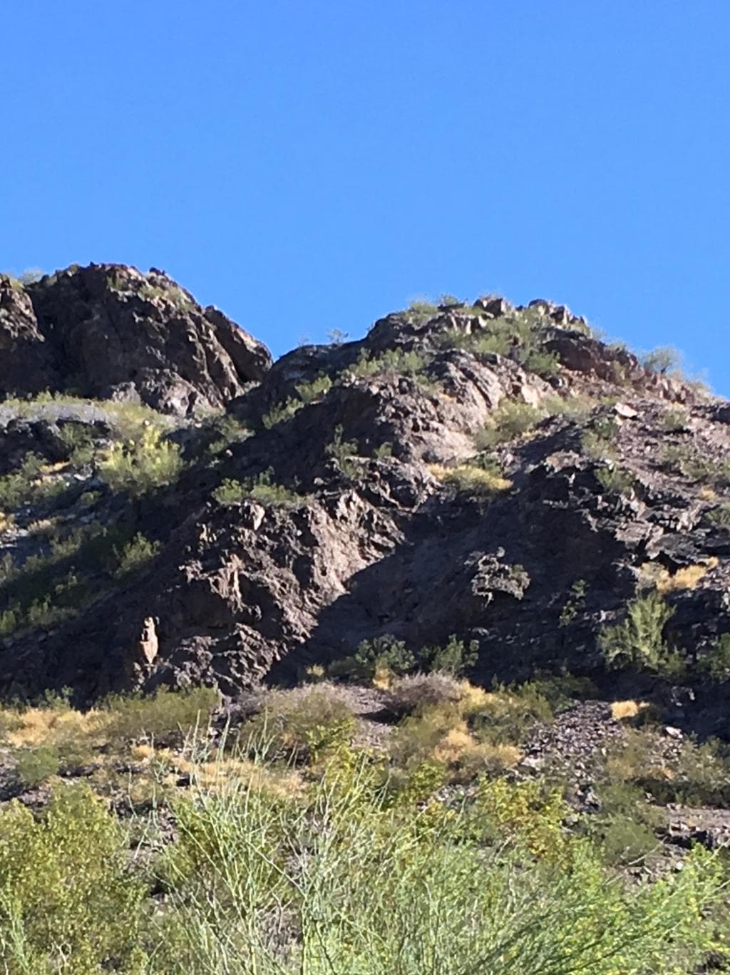 Hayden Butte (A Mountain)