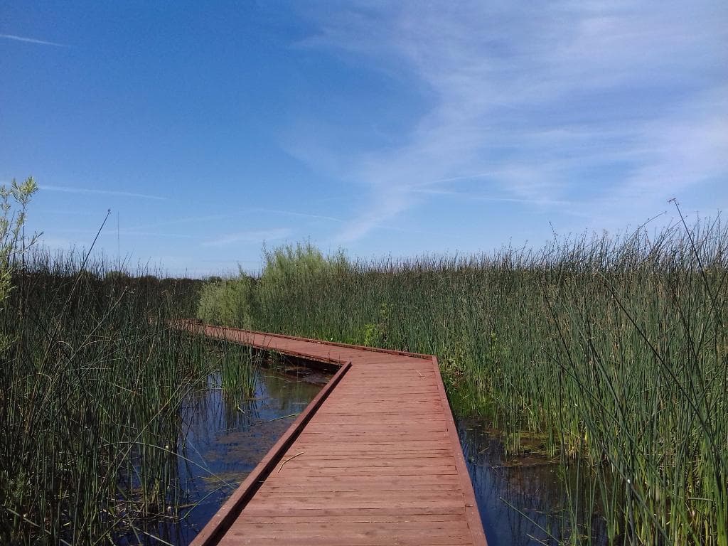 Scenic walkway