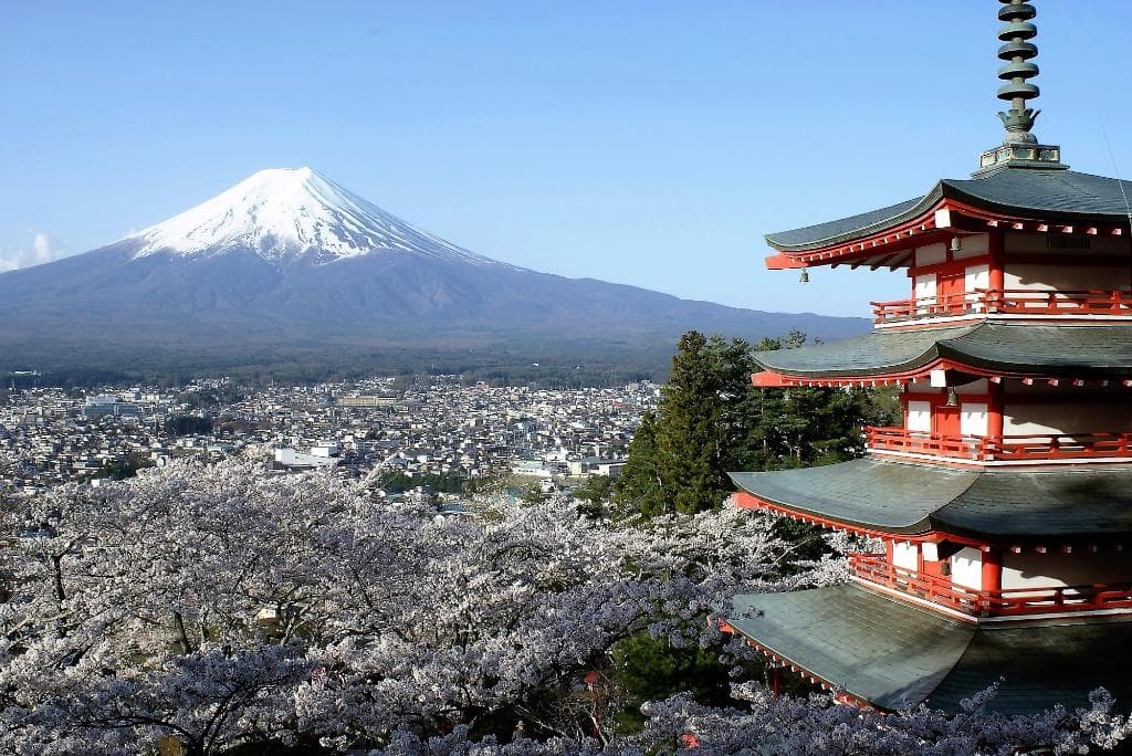 桜満開と忠霊問が撮れました、年一回のチャンスでした。