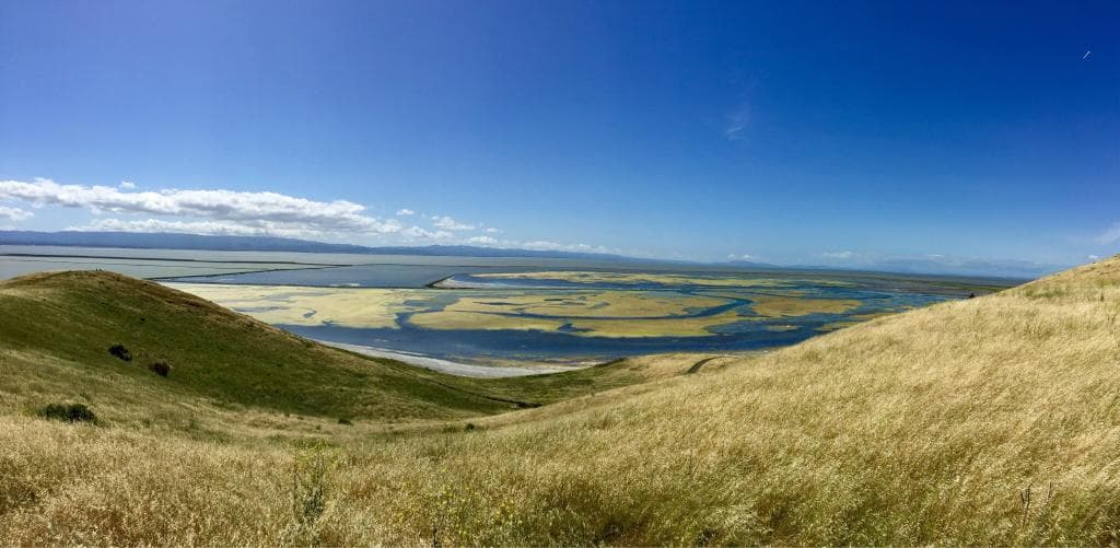 Coyote Hills Regional Park