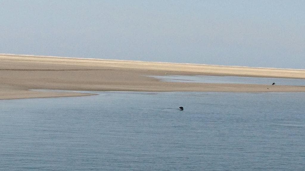 Waddenveer De Vriendschap