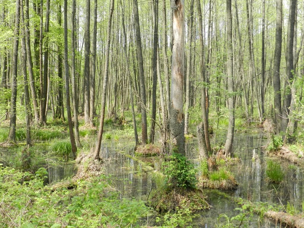 Kleban-Byk Regional Landscape Park