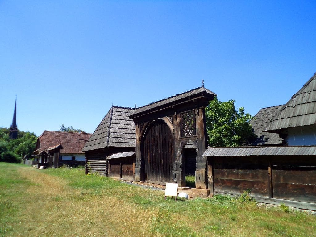 View of the park