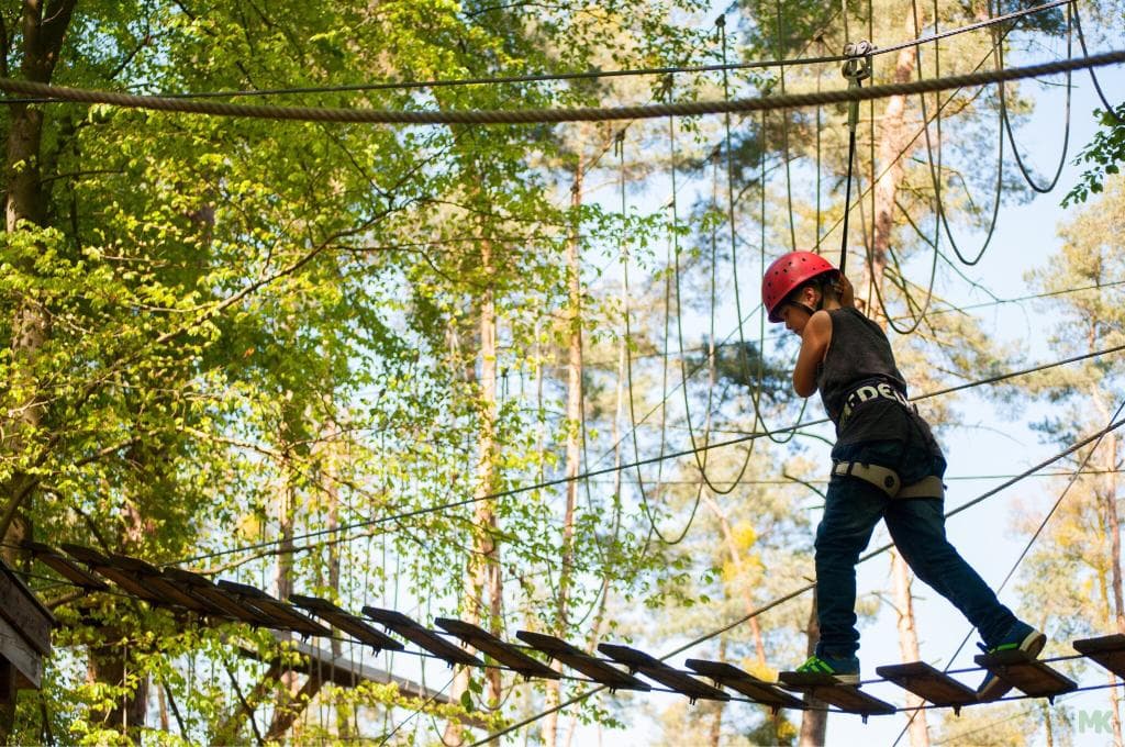 Kletterwald Heidelberg