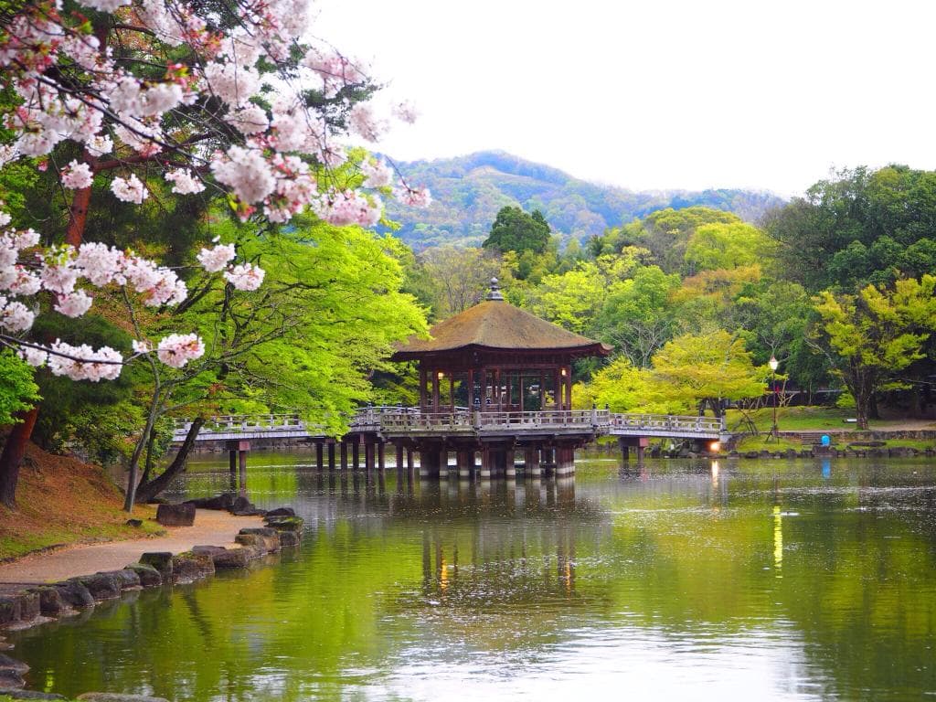 Nara Peace Park Canberra