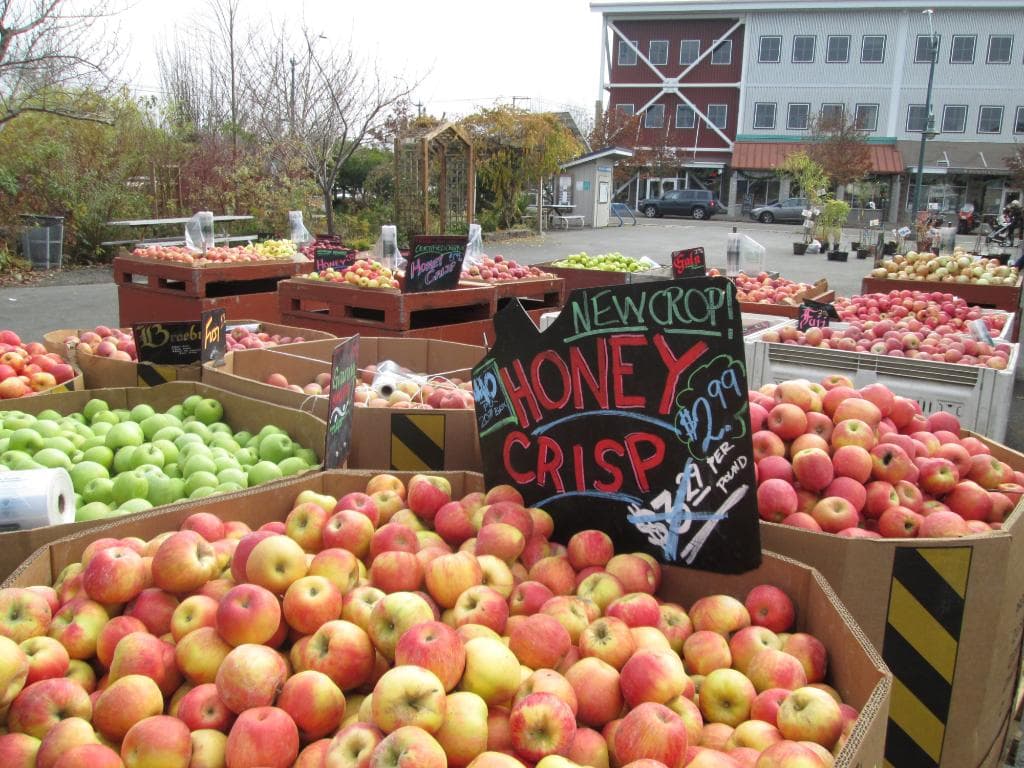 Beautiful apples!
