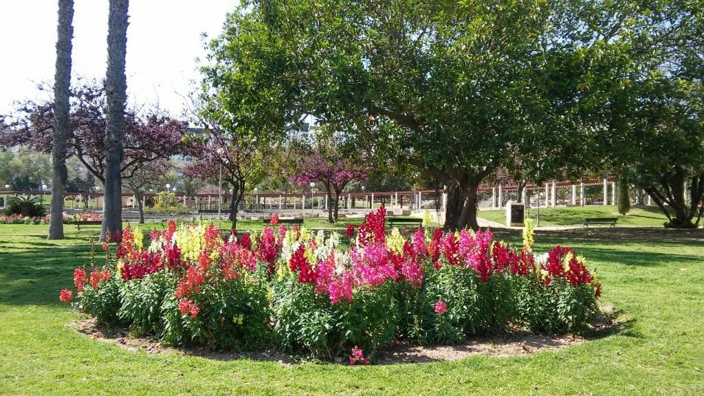 Lo Morant Park