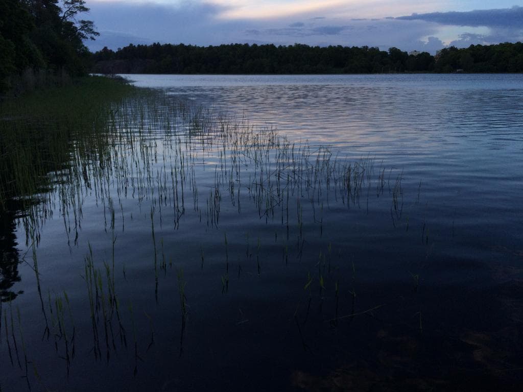 公園内