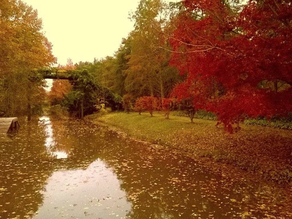 Paisaje otoñal