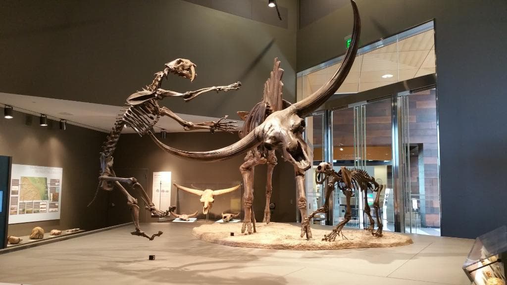 More extinction exhibits