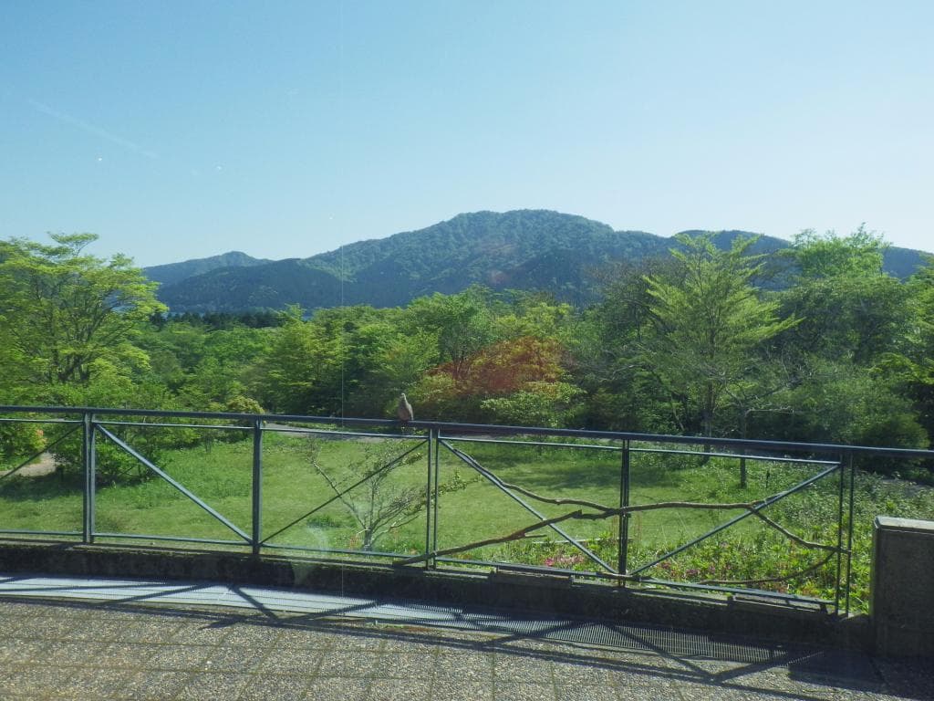 画面奥の方に芦ノ湖がちらっと見える