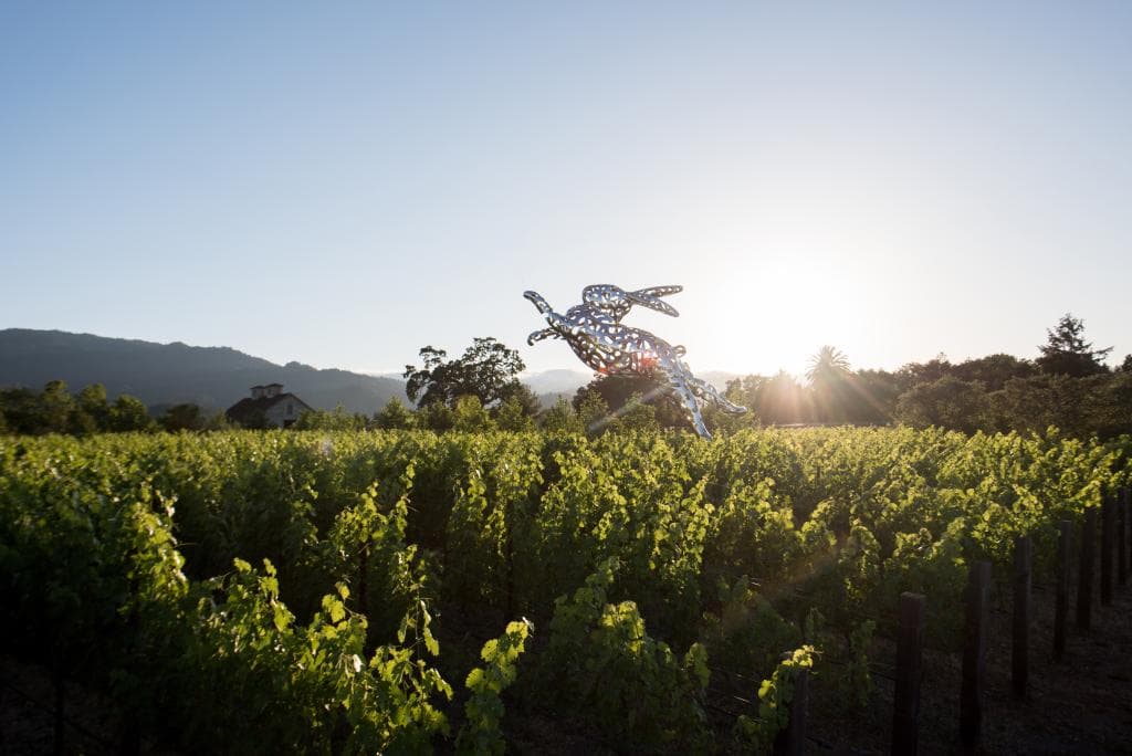 Our iconic Bunny Foo Foo welcomes guest to our winery