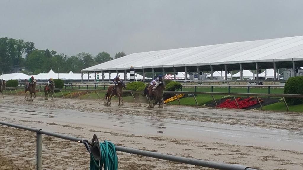 Pimlico Race Course