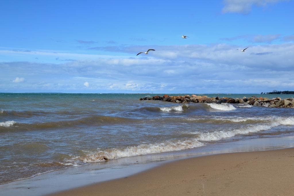 Waves at the beach
