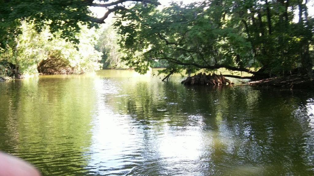Saddle Creek Park