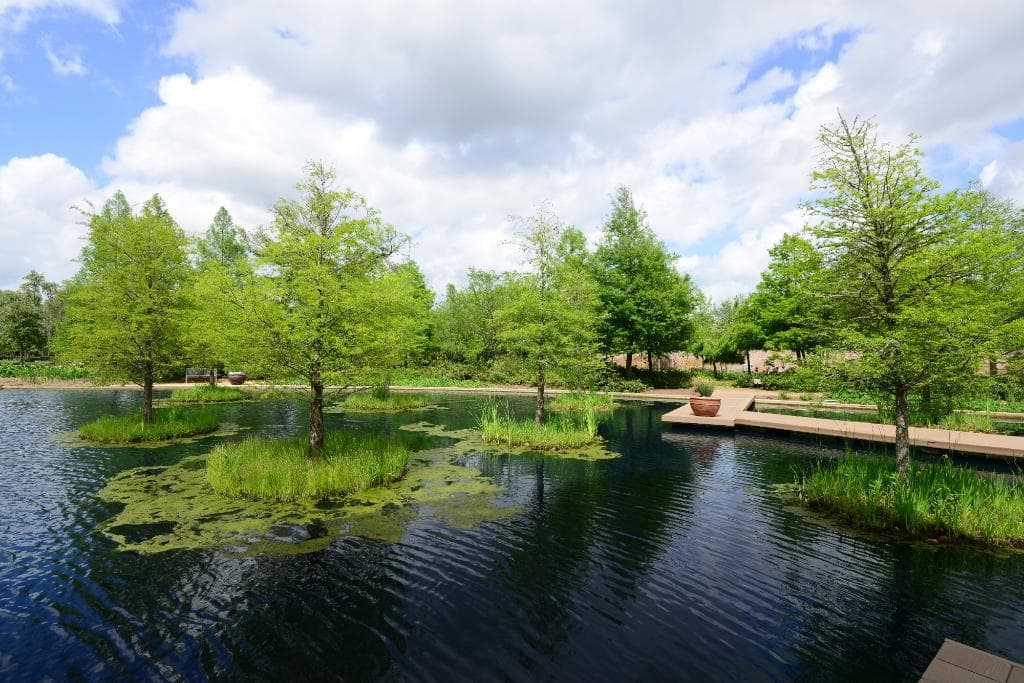 Inside Gardens