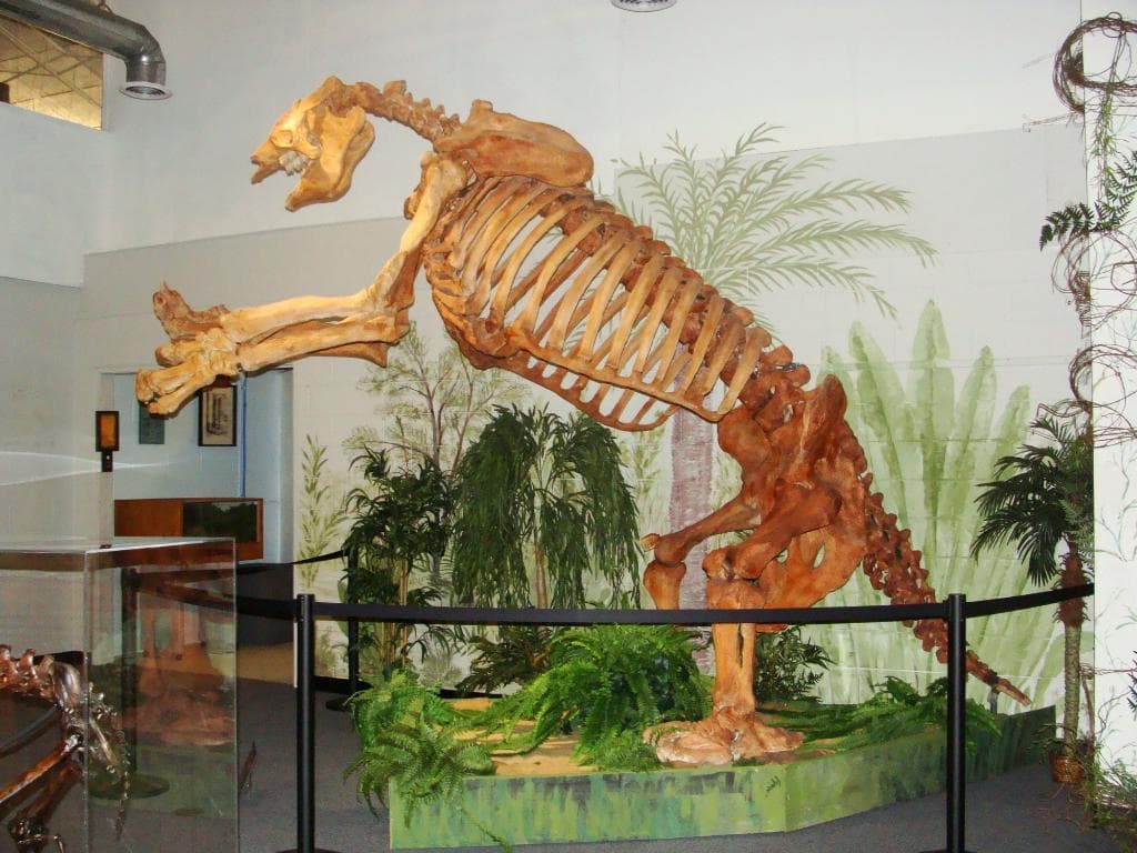 Brevard Museum of History and Natural Science