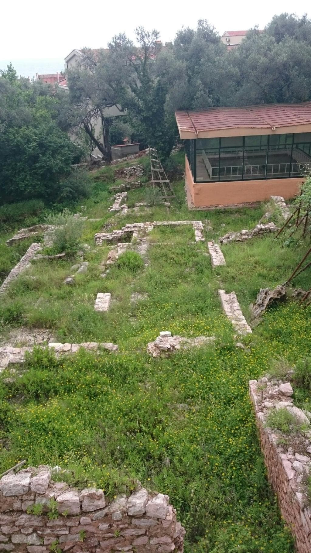 Roman Mosaics Petrovac