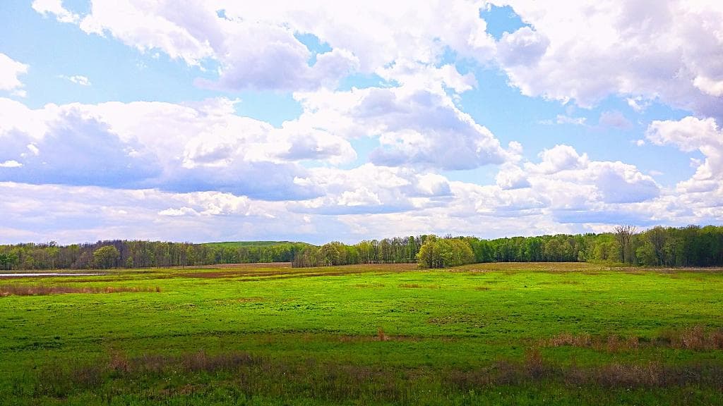 Seneca Meadows Wetlands Preserve