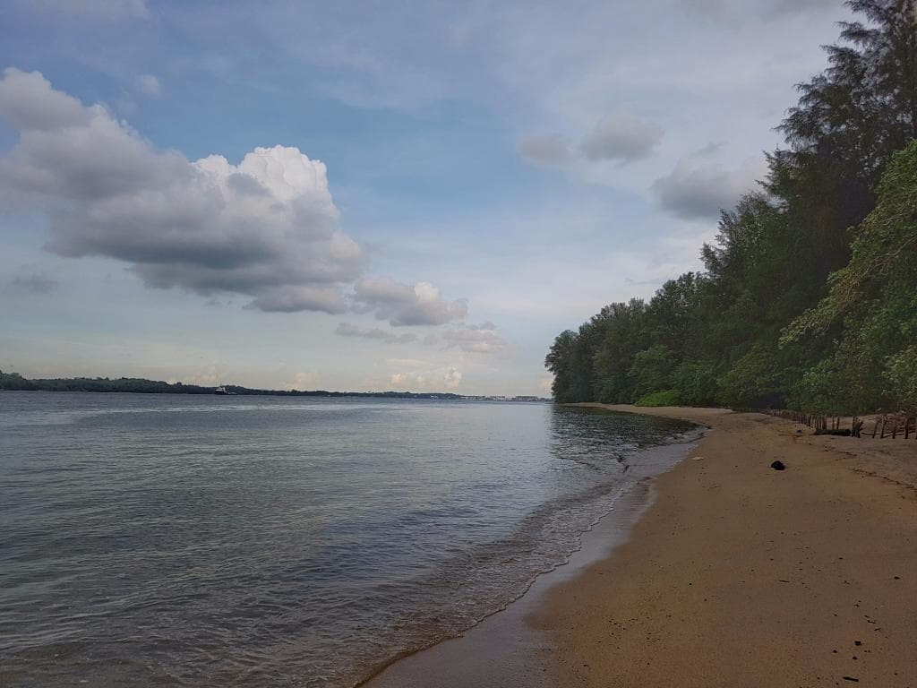 The beach