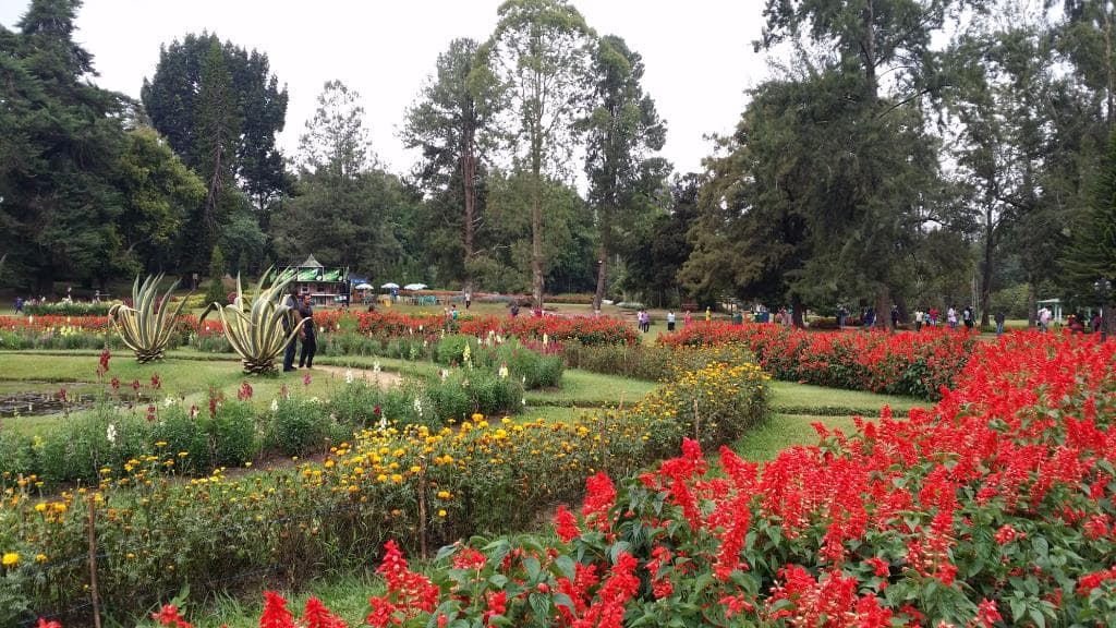 Victoria park