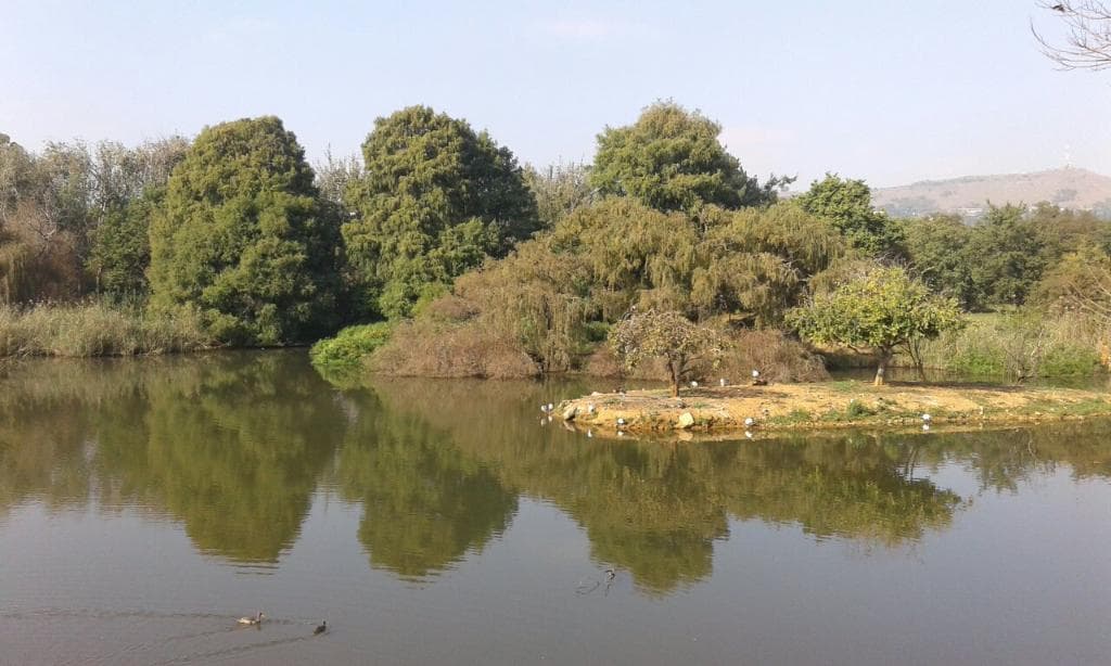 Austin Roberts Bird Sanctuary