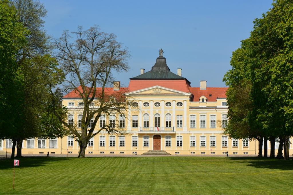 Płac w Rogalinie
