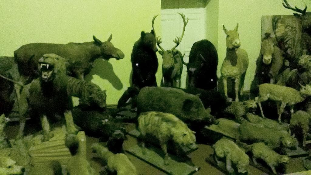 "Джуманджи"