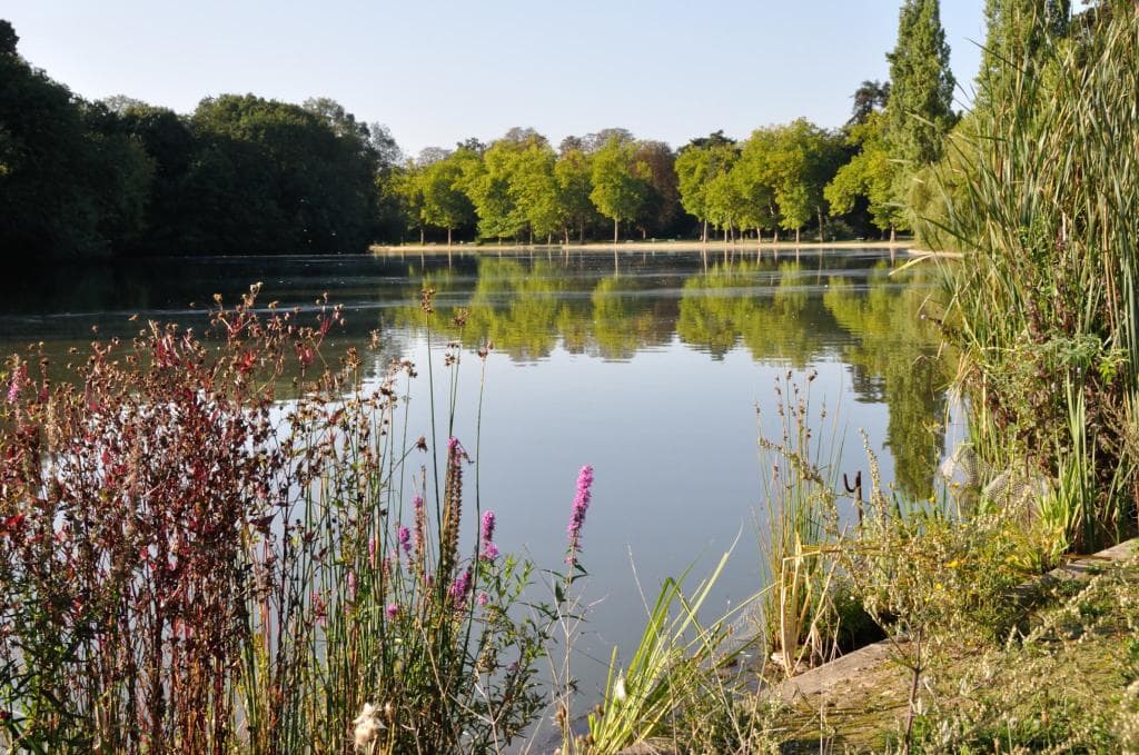 Le lac