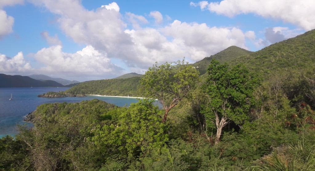 The view on Trunk Bay from Peace Hill