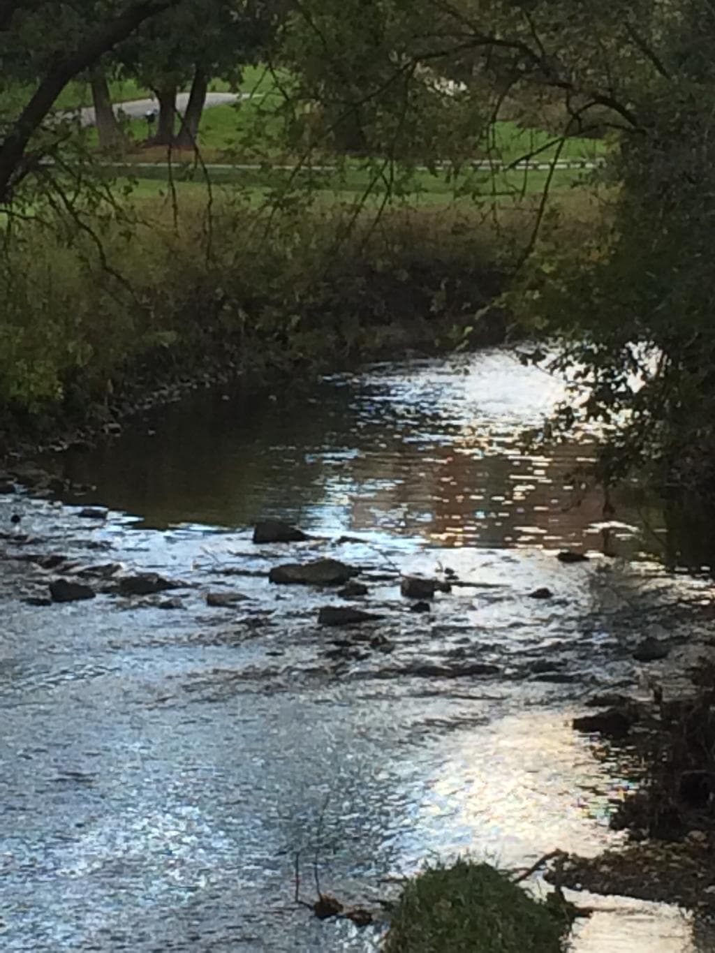 Pomona Mills Park